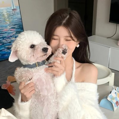 精灵宝可梦:大家的故事